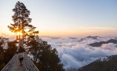 San José del Pacífico, Oaxaca: el pueblo entre las nubes