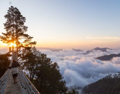 San José del Pacífico, Oaxaca: el pueblo entre las nubes